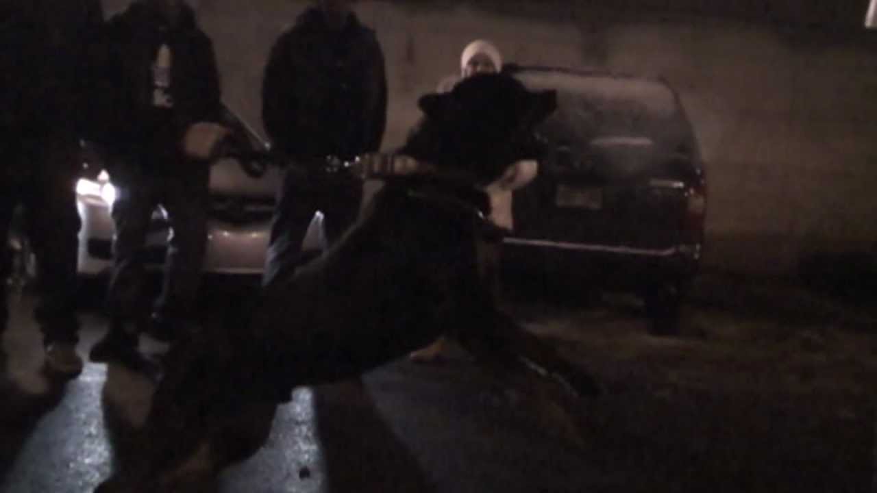 The Verse feat. Don Lase - Point Em Out / Rottweilers