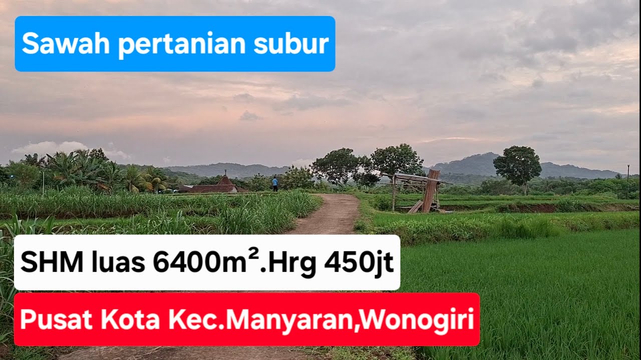 Sawah pertanian subur SHM luas 6400m².Hrg 450jt.Lokasi Pusat Kota Kec.Manyaran Kab.Wonogiri