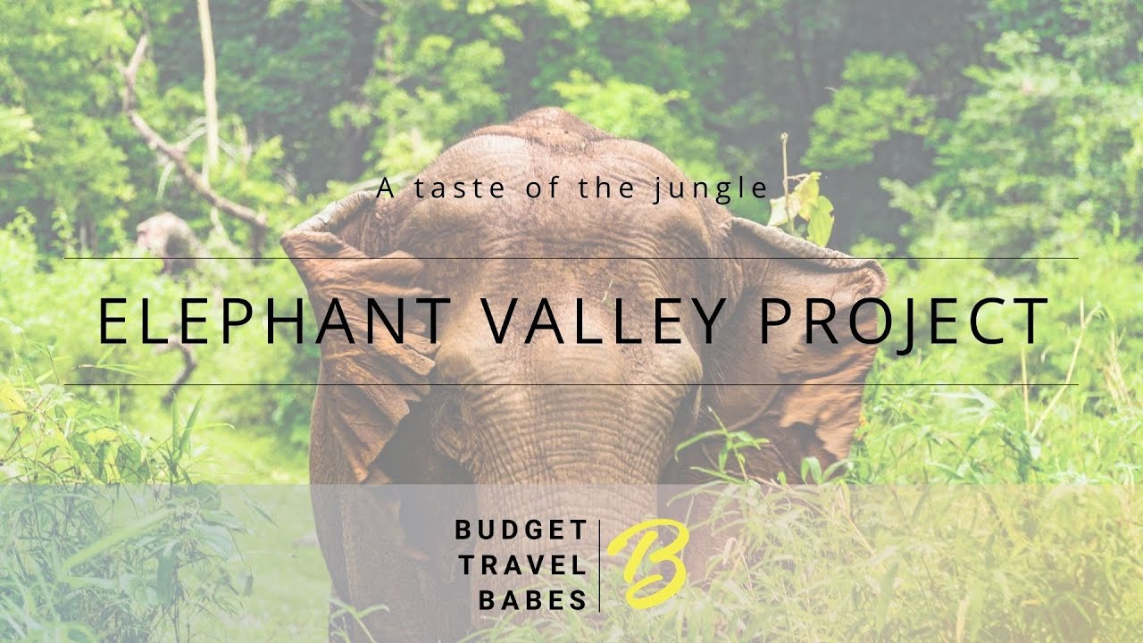 Elephant Valley Project - Where elephants roam FREE (Mondulkiri, Cambodia)