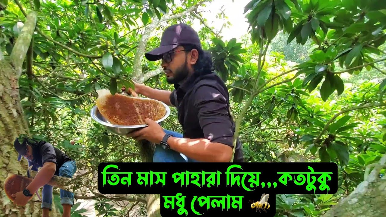 তিন মাস পাহারা দিয়ে,,,কতটুকু মধু পেলাম 🐝