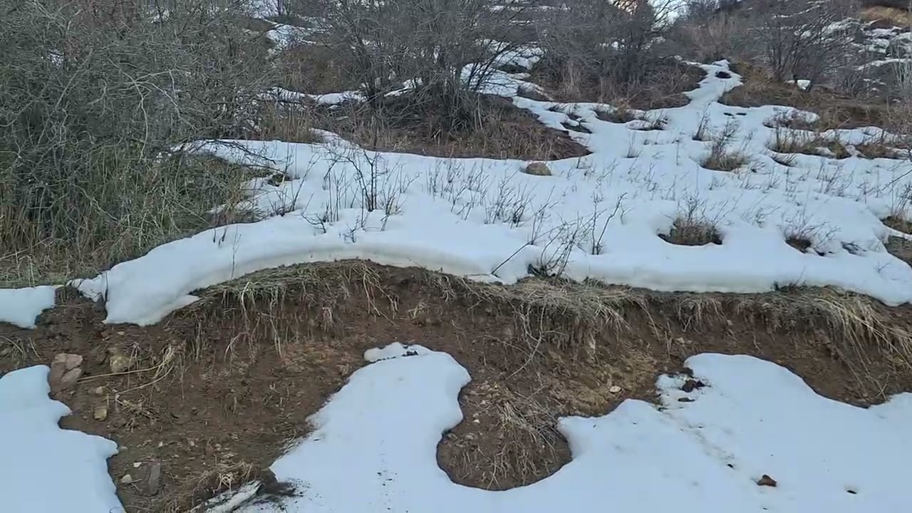 Payızdan çıxdım qışa düşdüm