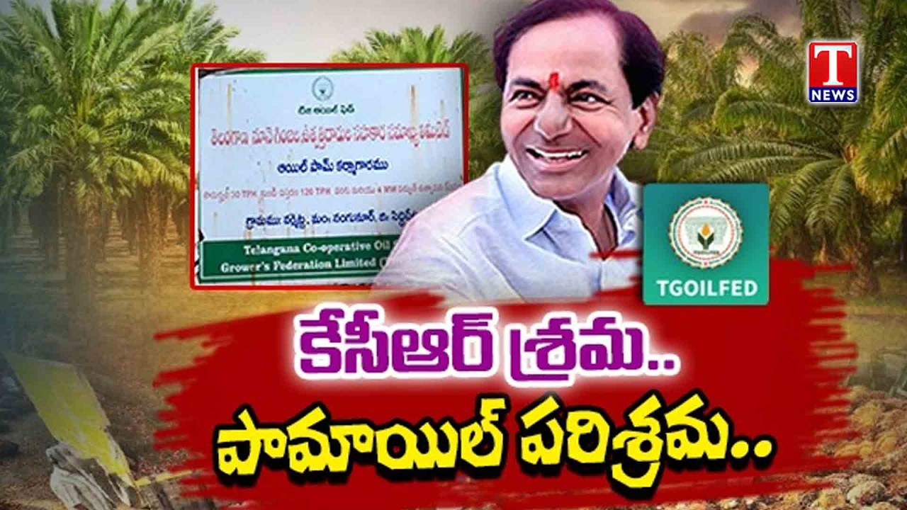 Special Story : Oil Palm Factory Success | KCR’s Initiative Highlighted by Harish Rao | T News