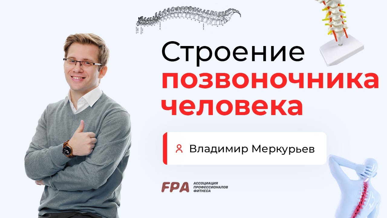 Строение позвоночника | Владимир Меркурьев (FPA)