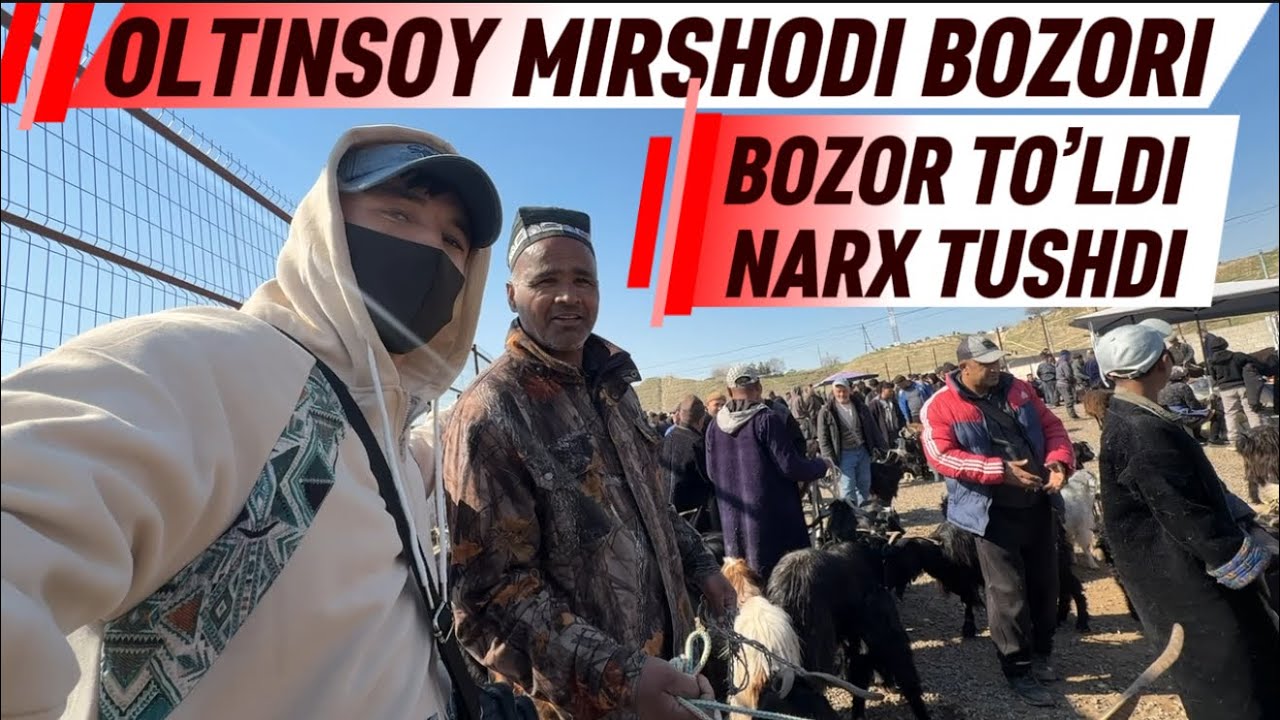 OLTINSOY MIRSHODI CHORVA BOZORI 28.02.2026y