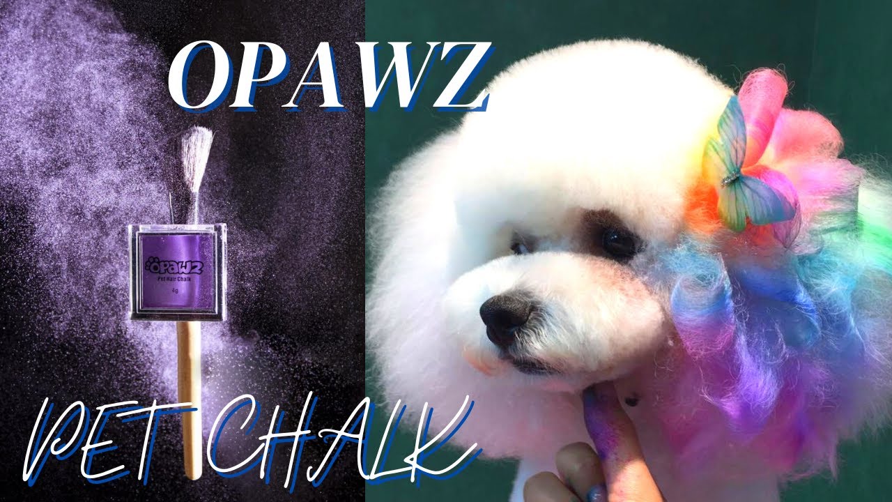 OPAWZ Pet Hair Chalk for Temporary Creative Dog Grooming