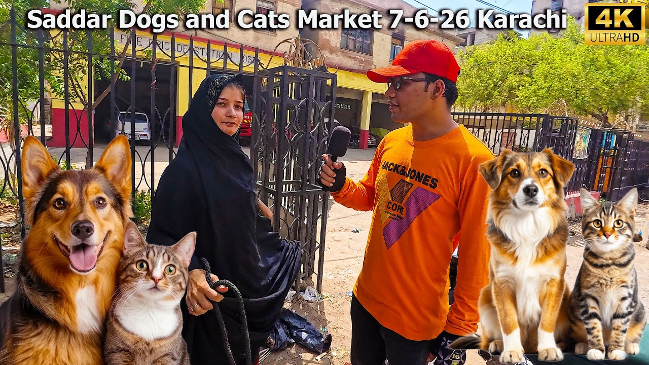Dogs and Cats Market Saddar Karachi 7-6-26 Latest Market Updates