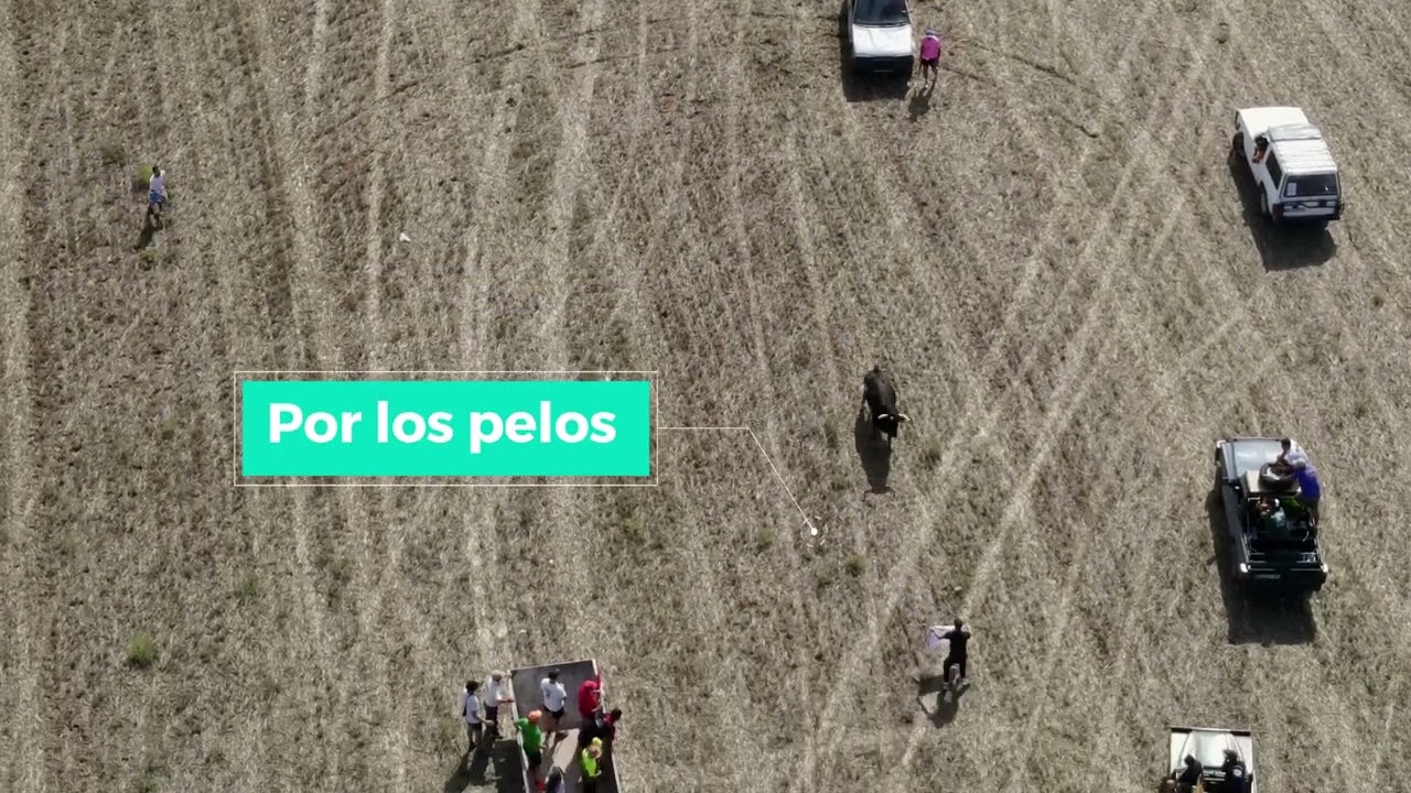 Encierros por el campo en El Casar