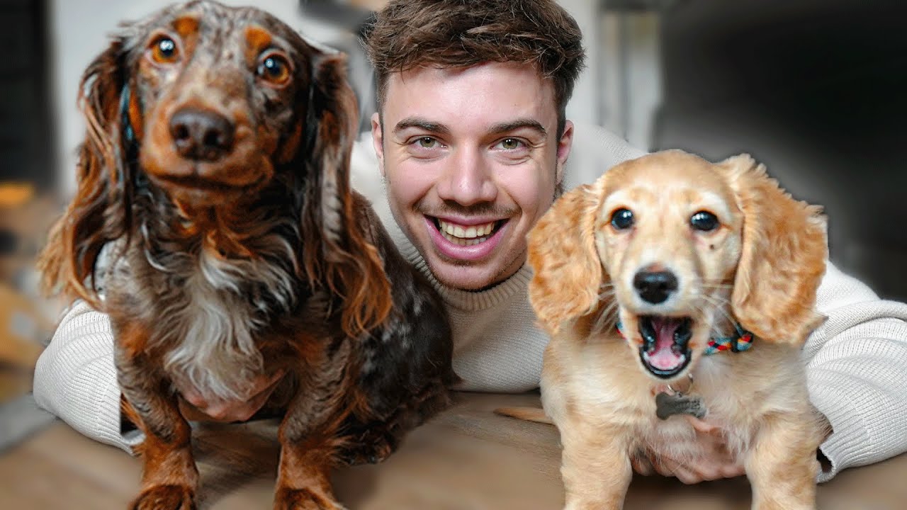 Ollie En Moos Zijn Beste Vrienden! 😍