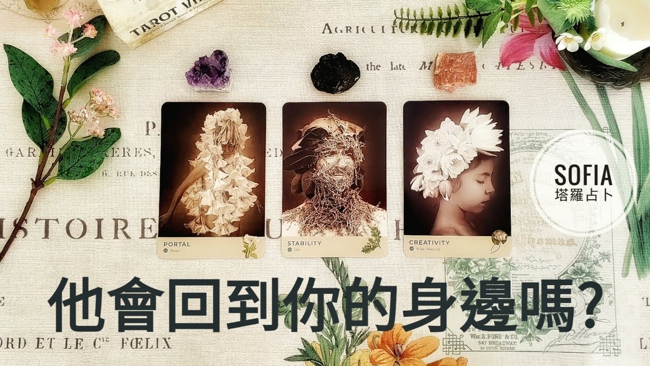 💔 他她會回到你的身邊嗎? 💘 什麼時候呢? (分手斷聯/冷戰/吵架/停滯/冷淡) ♾️ 影片沒有時間限制 ♾️