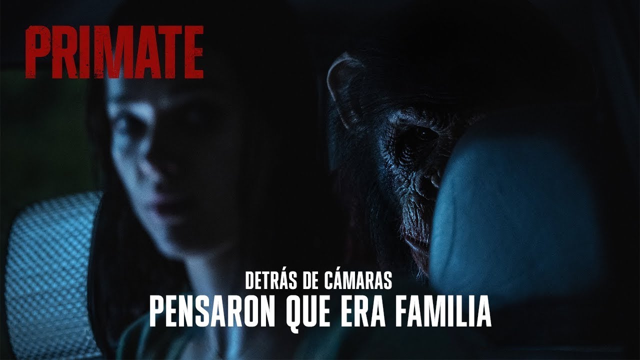PRIMATE | Detrás de cámaras: Conocé a Ben
