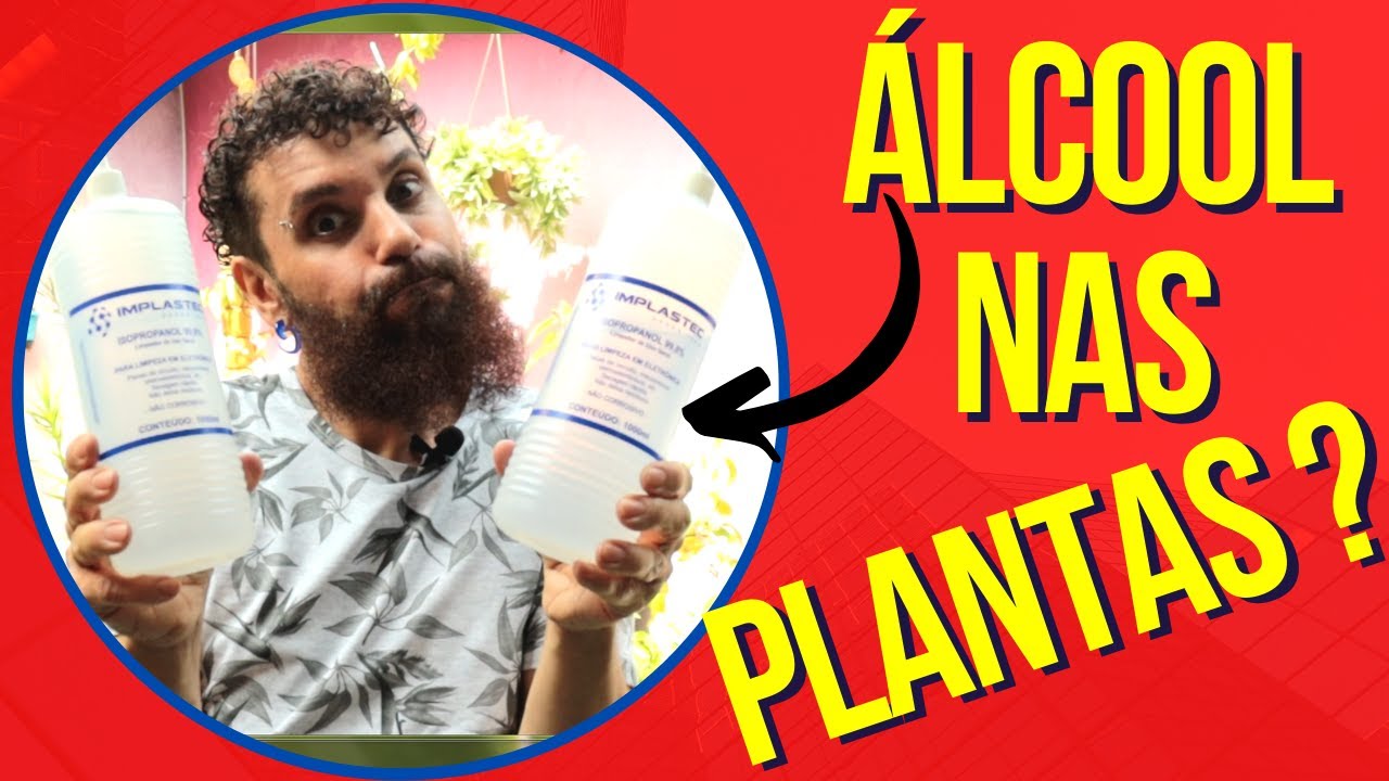 ELIMINE PRAGAS E FUNGOS de suas plantas com ÁLCOOL ISOPROPÍLICO! Saiba usar de forma segura e eficaz