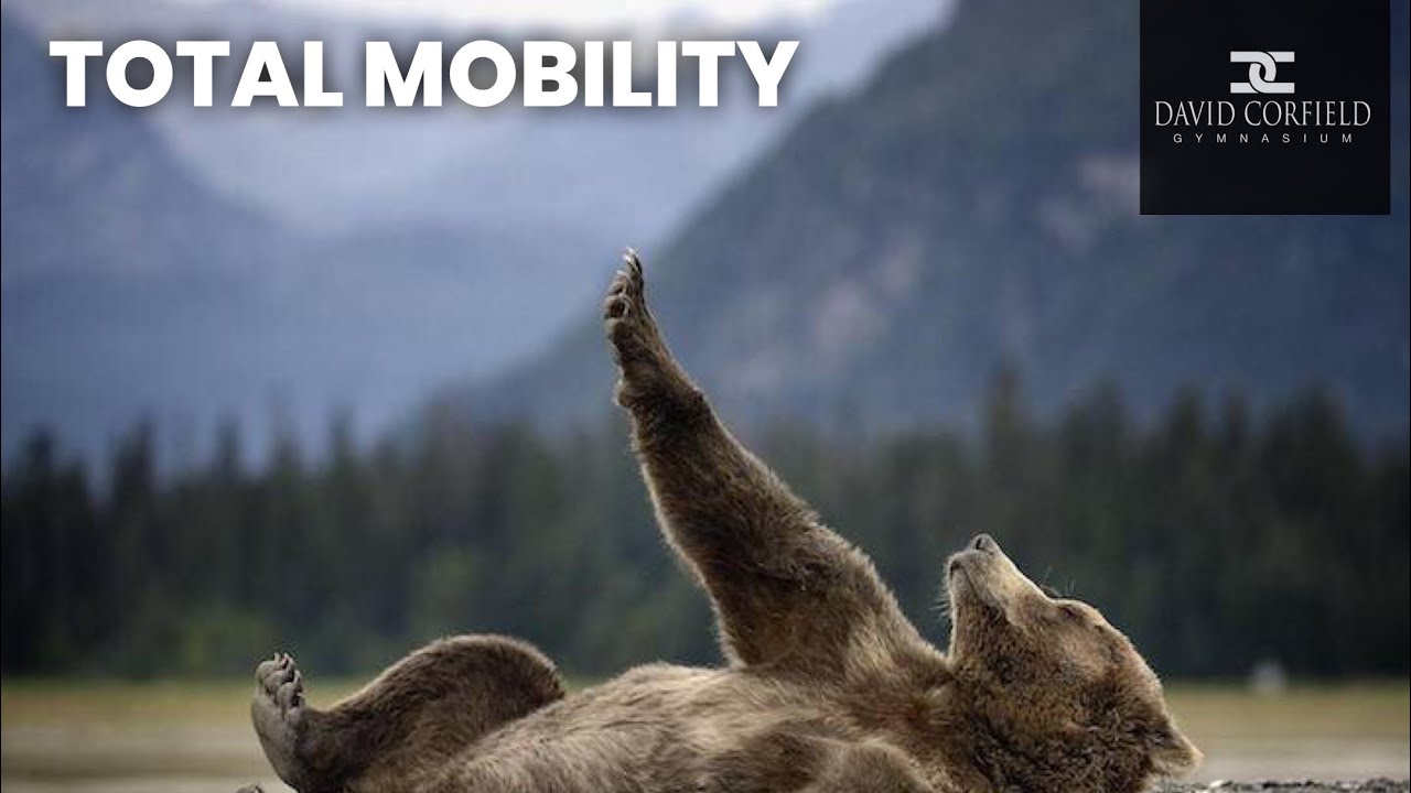 TOTAL MOBILITY 3