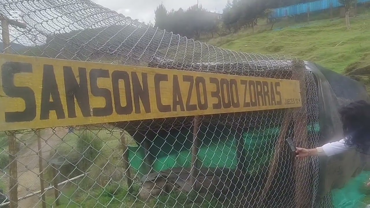 Un viaje a Cajamarca (Granja Porcon)