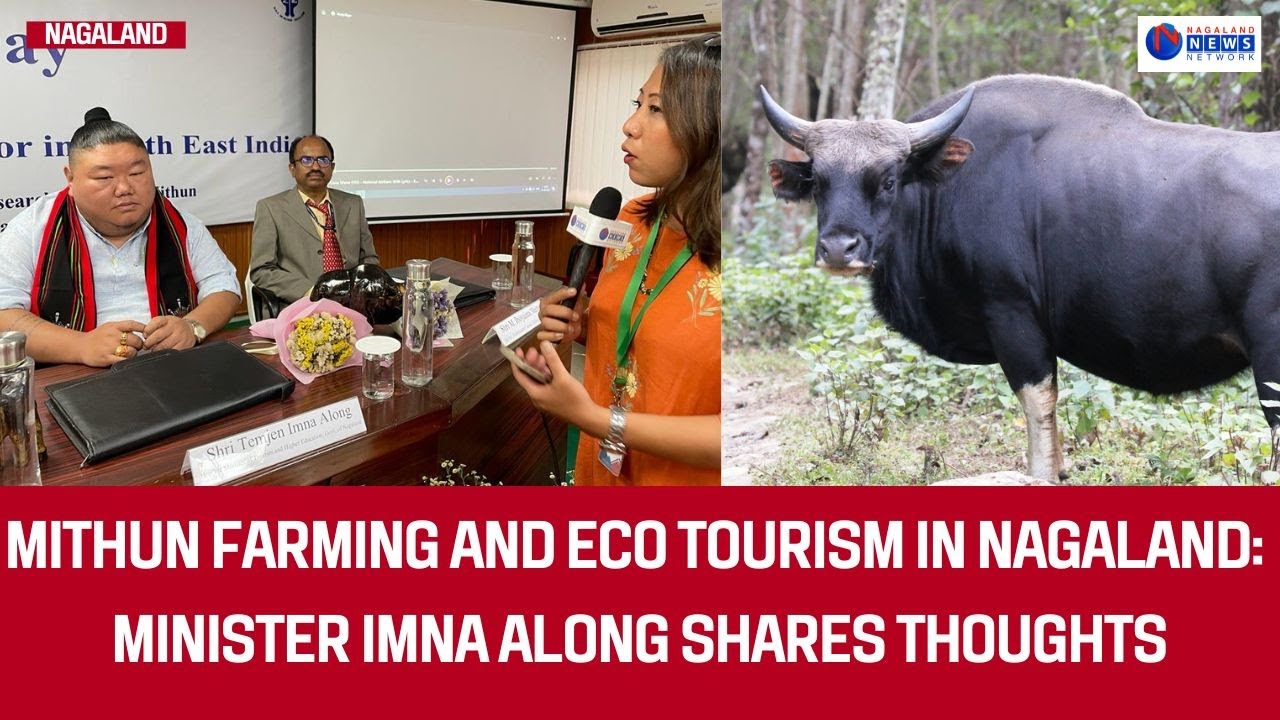 MITHUN FARMING AND ECO TOURISM IN NAGALAND: MINISTER IMNA ALONG SHARES THOUGHTS