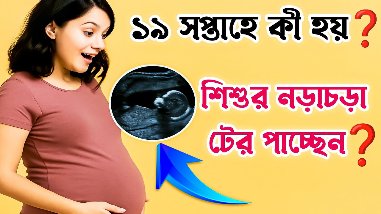 ১৯ সপ্তাহে গর্ভাবস্থা | এই সময় কী কী লক্ষণ দেখা যায়? 19 Weeks Pregnancy Symptoms & Baby Development