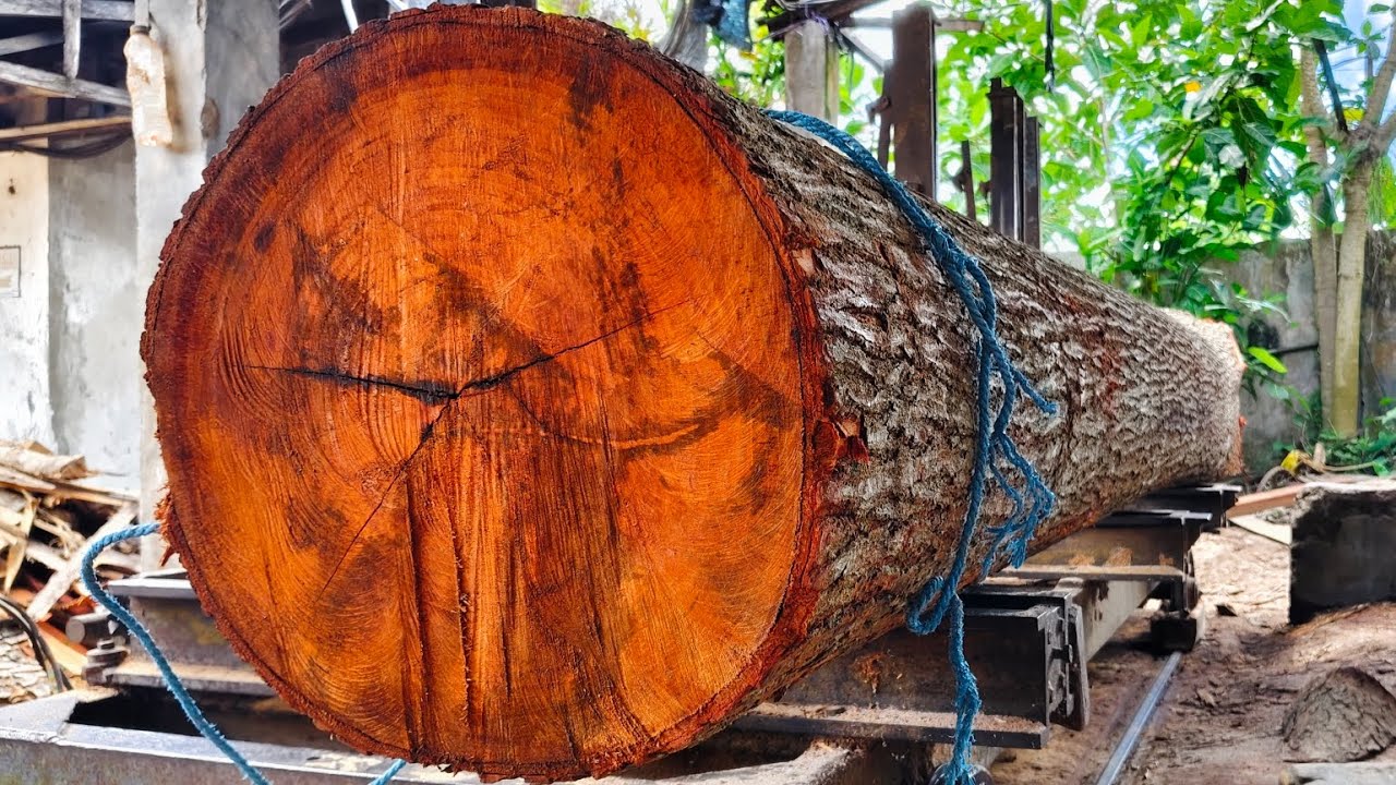 the process of splitting and converting 14-foot trees into premium board material