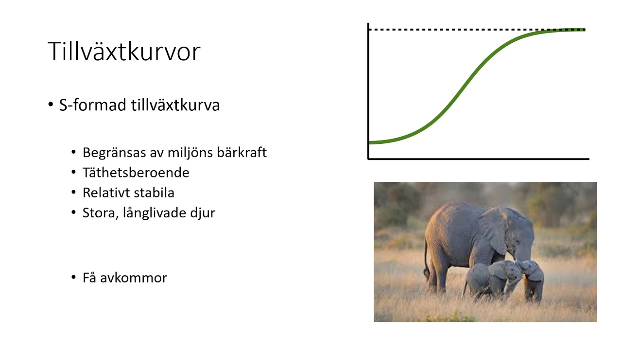 Populationsekologi