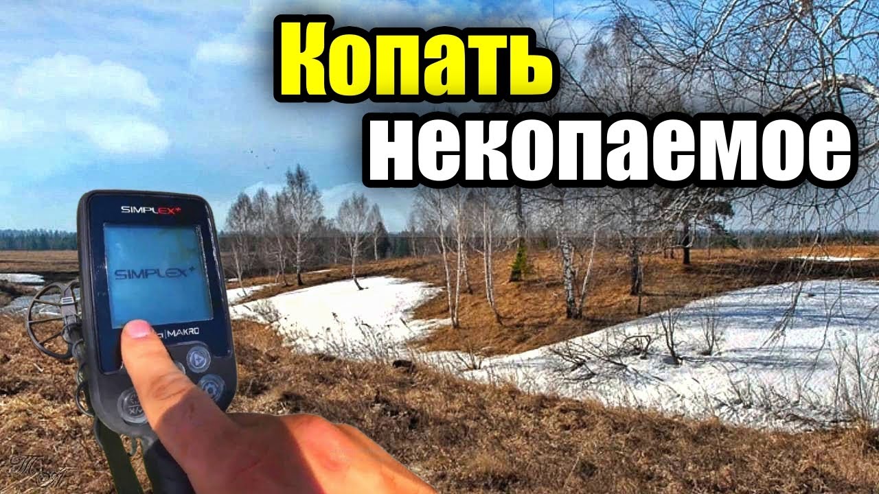 На опушке леса с MD Nokta Makro Simplex plus.