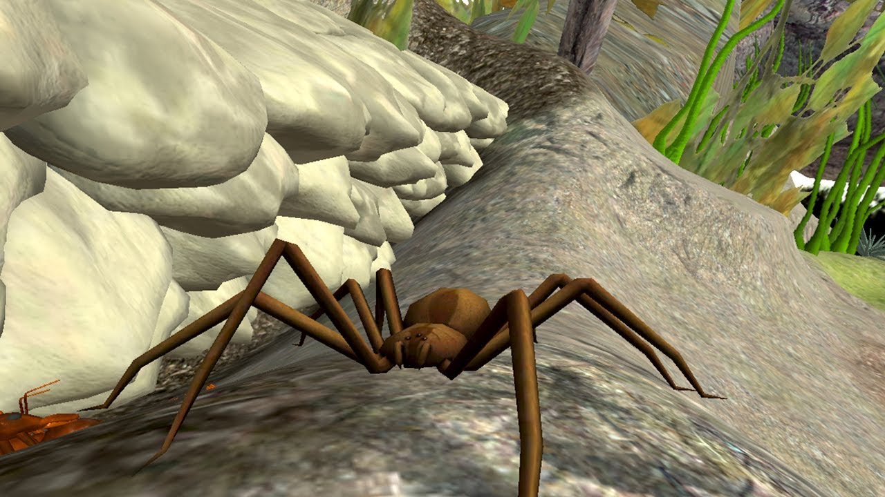 Spider Nest Simulator (by hskdev) Android Gameplay [HD]