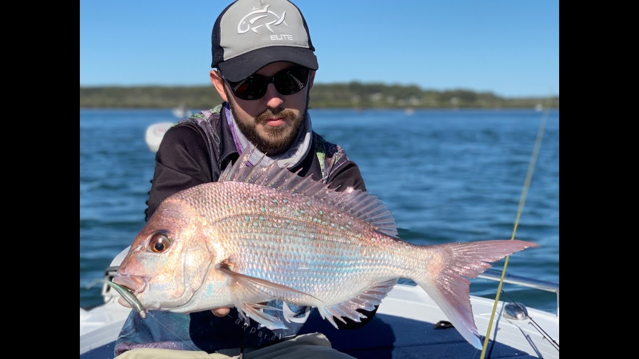 How to catch shallow water Snapper on soft plastics...