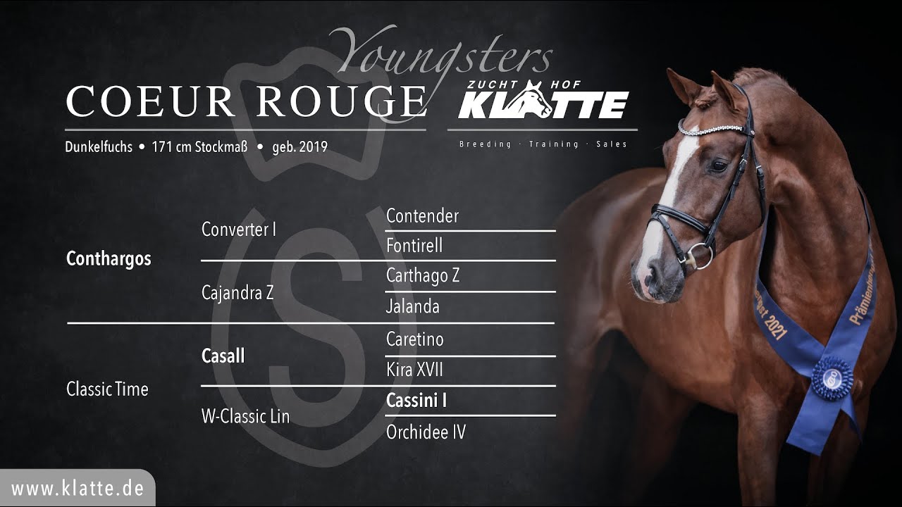 COEUR ROUGE v. Conthargos x Casall x Cassini I - Stallionshow 2022