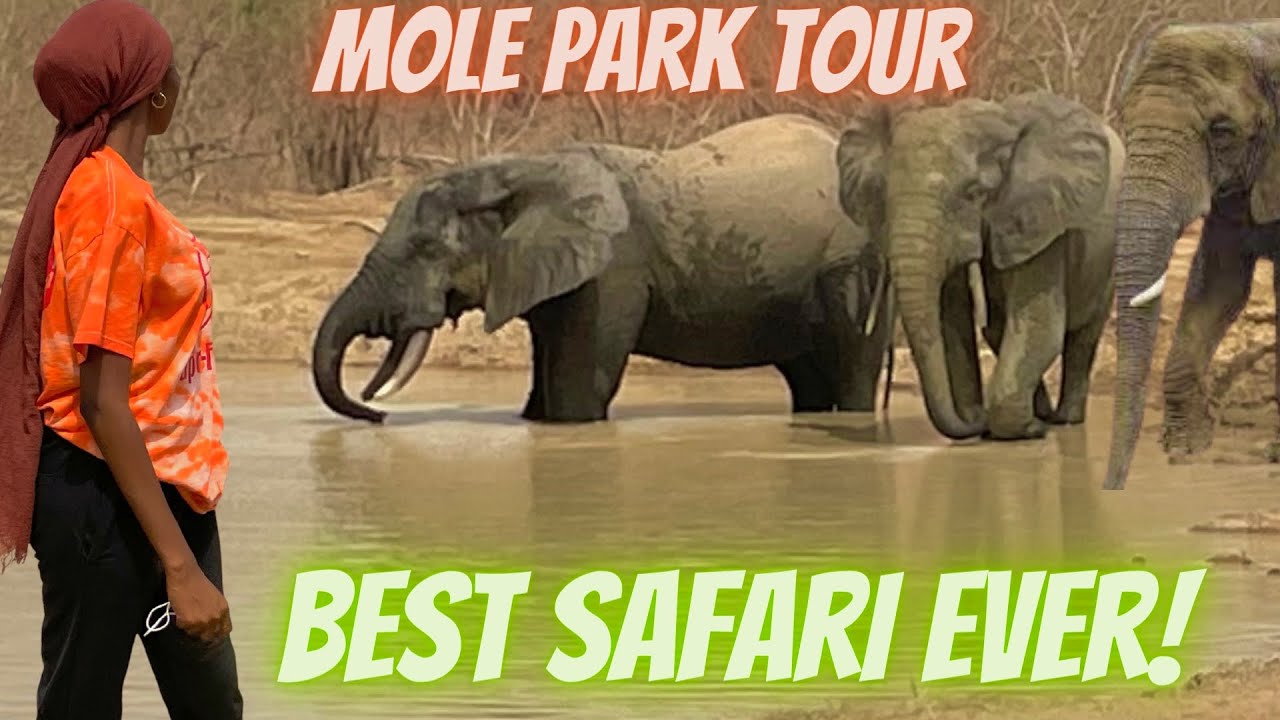 MOLE NATIONAL PARK WAS UNBELIEVABLE | LARGEST WILDLIFE RESERVE| Ghana Vlog 2021