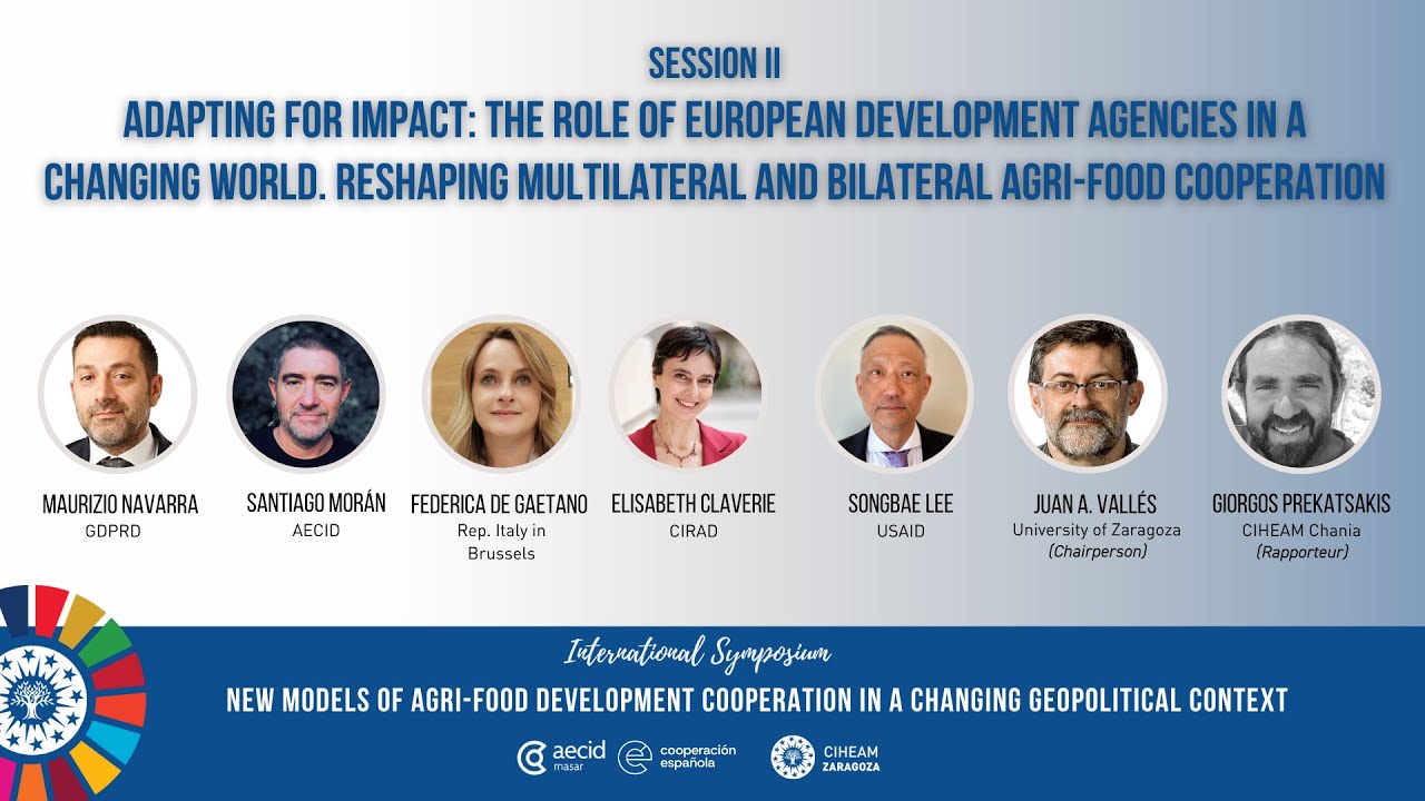 Adapting for Impact: The Role of European Development Agencies in a Changing World