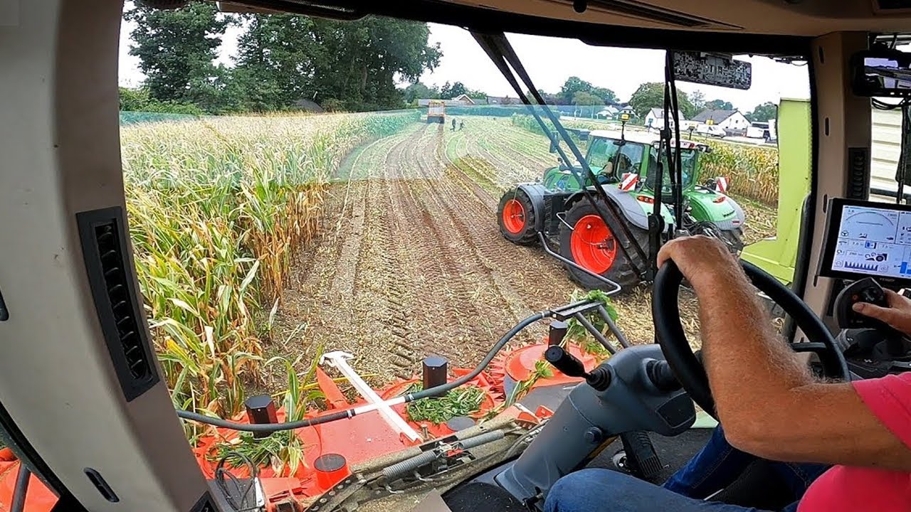 Cab View | Mais Silage | Fendt Katana | BMWW Agriservice | 2020
