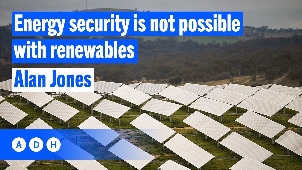 &lsquo;Energy security is not possible with renewables&rsquo; | Alan Jones