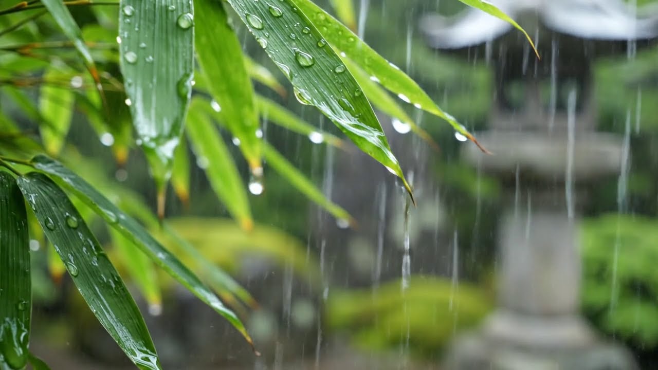 Rain Sounds ASMR for Tinnitus and Insomnia - Gentle Masking and Restful Sleep
