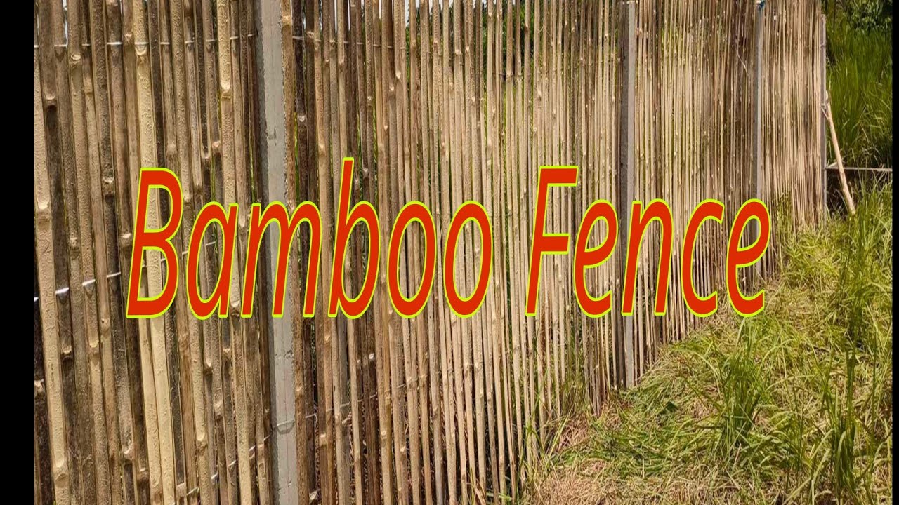 BAMBOO FENCE | BAKOD NA KAWAYAN