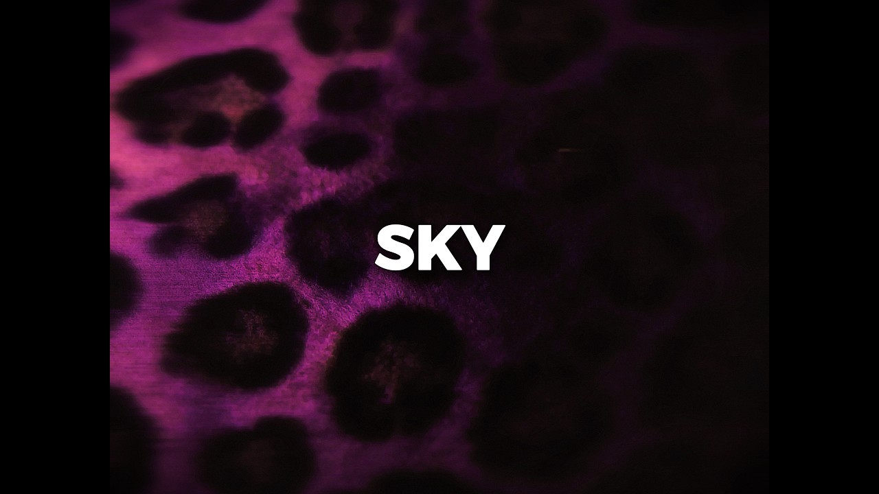 “Sky” | Melodic Trap Type Beat | Freestyle Rap Instrumental