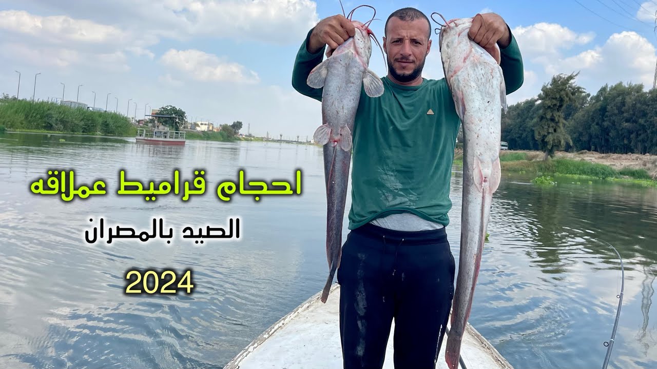 معركه مع وحوش القراميط الكبيره واللي ضاع مقطوع منه النصيب  🔥💪