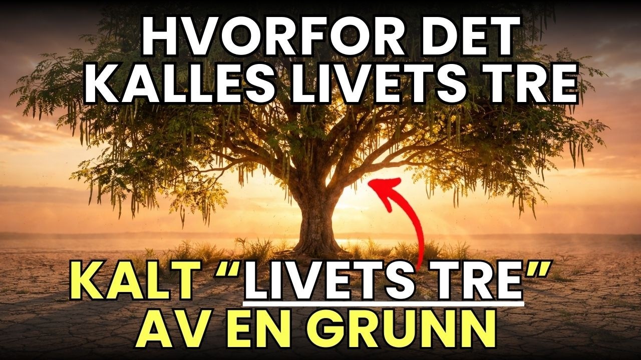 Treet som gjør multivitaminer overflødige (men vi vil ikke plante det)