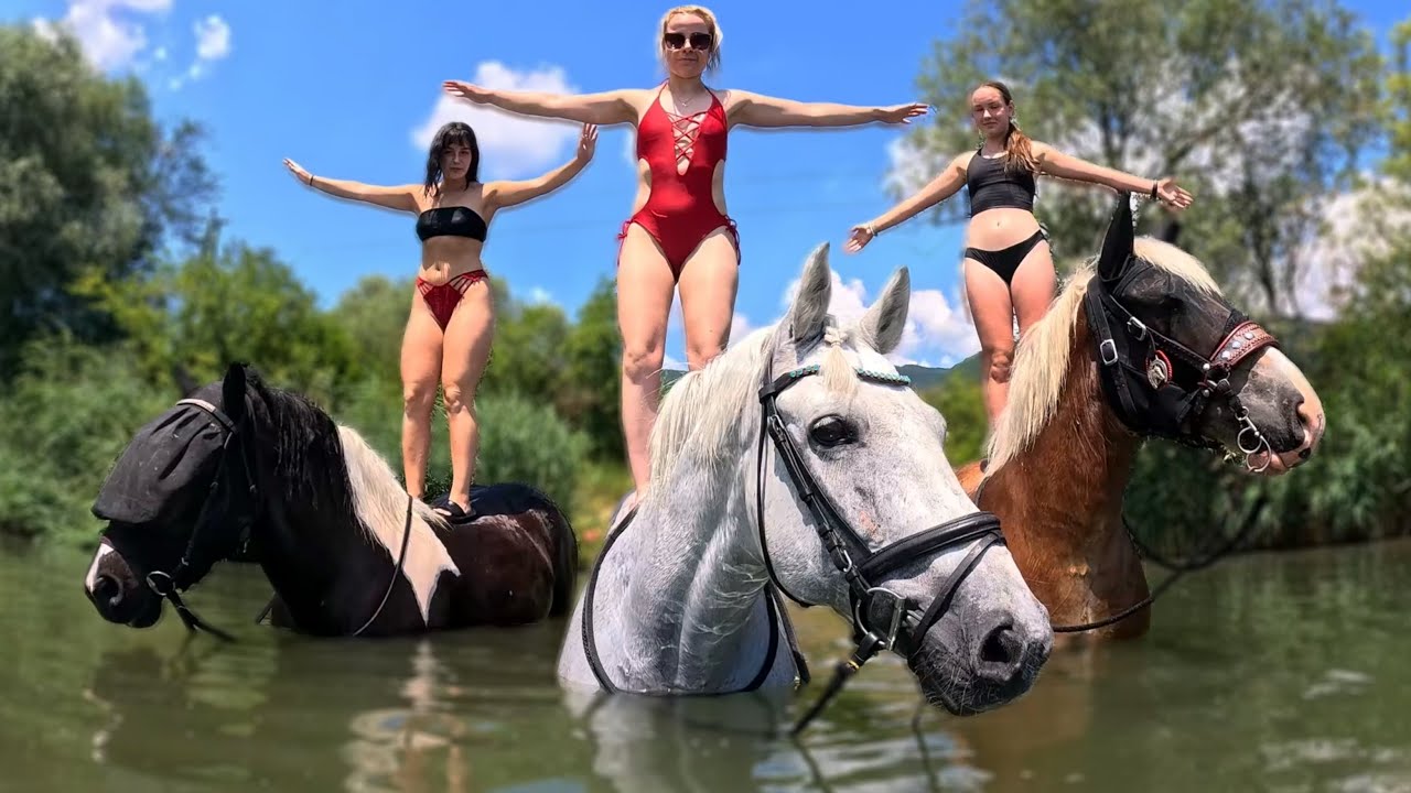 Kúpanie s koňmi 👙 v jazere 🥽 Nové žriebä ?? 🍼 | jazdenie - jízda na koni | videa o koňoch - koních