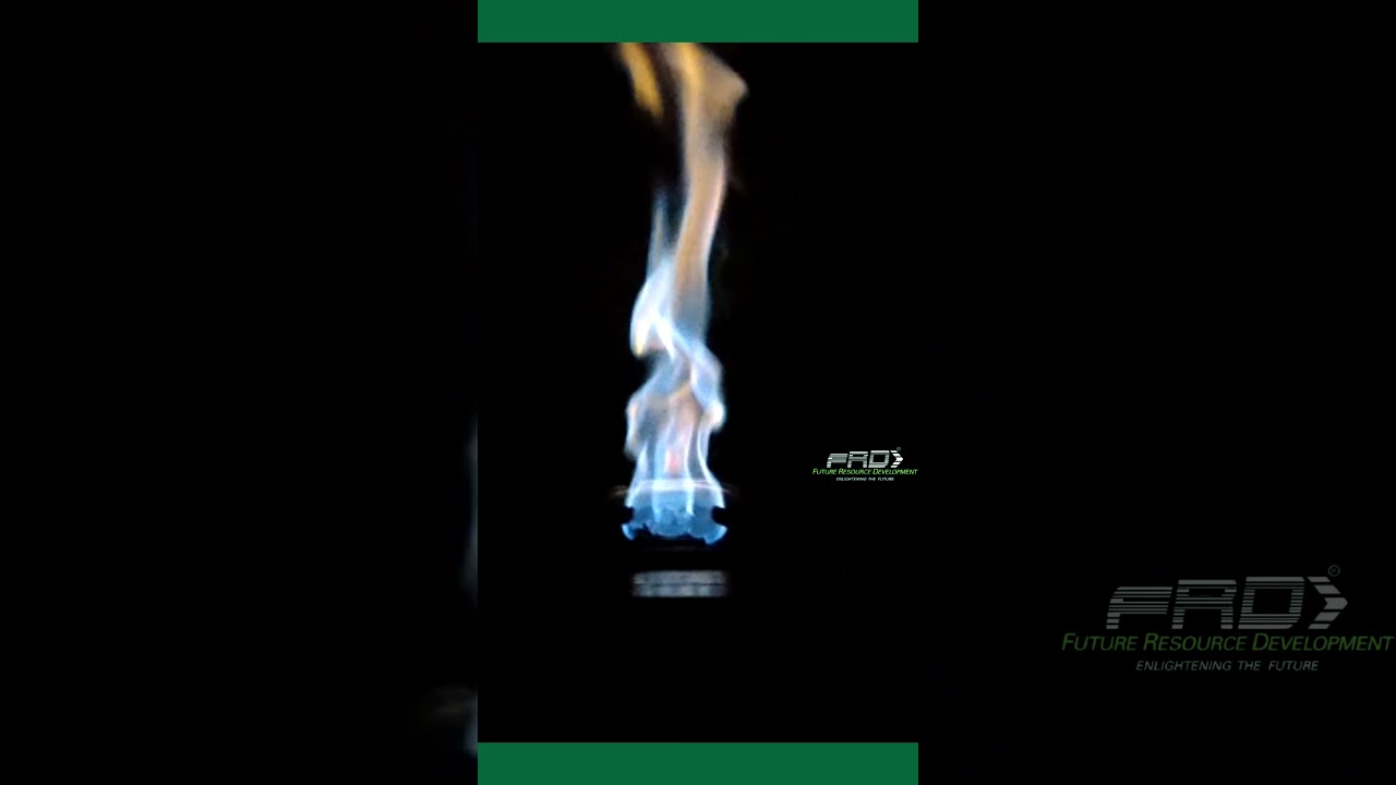 BIOMECH FXD Model's gas pressure | Natural Pressure | Ready to cook | 