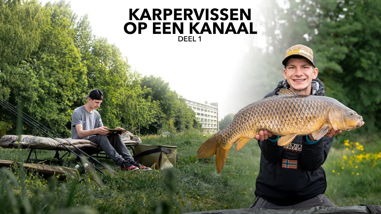 Karpervissen op een kanaal in NEDERLAND | Deel 1