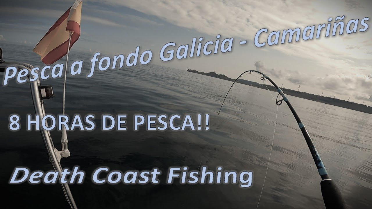 [8H PESCANDO] PESCA A FONDO EN CAMARIÑAS DESDE EMBARCACIÓN