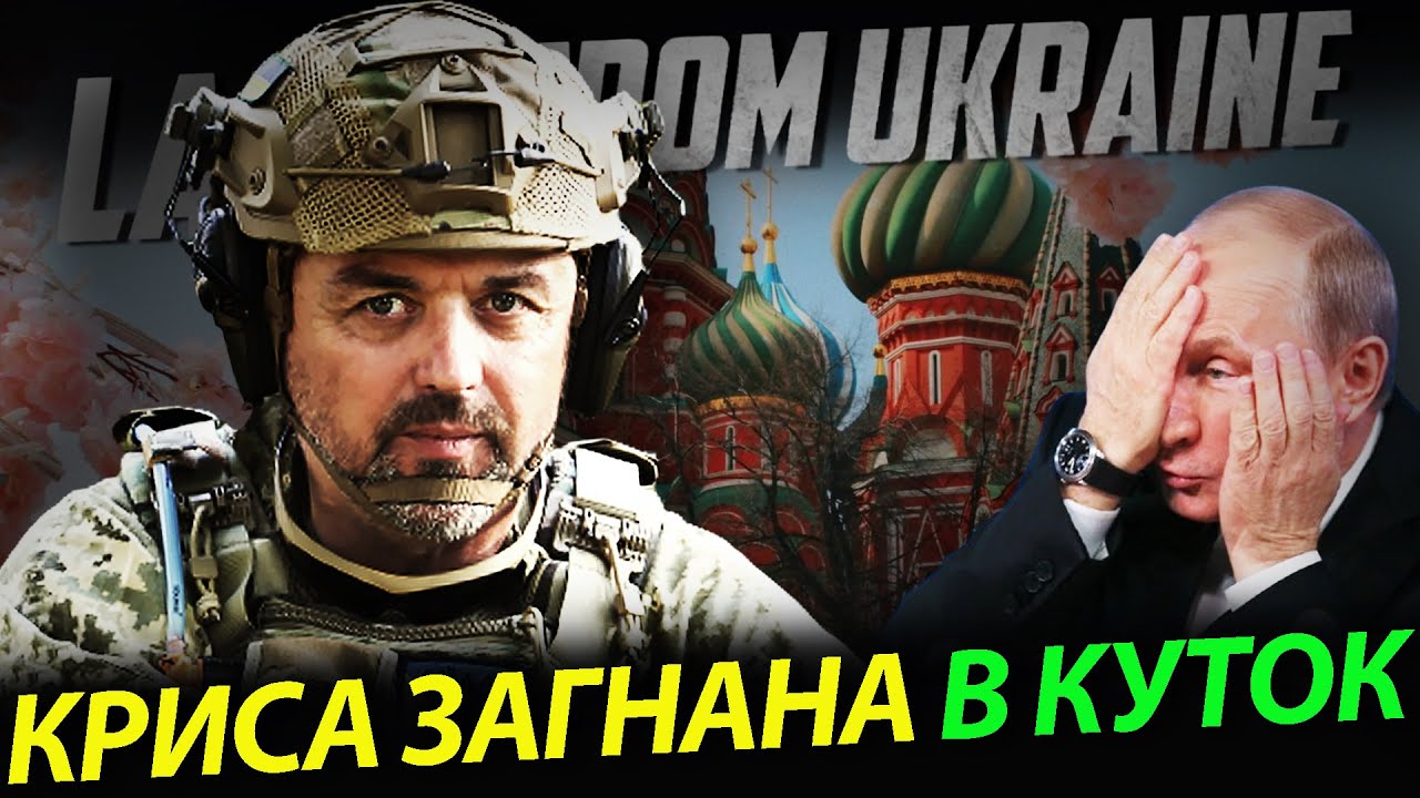 Криса загнана в куток.