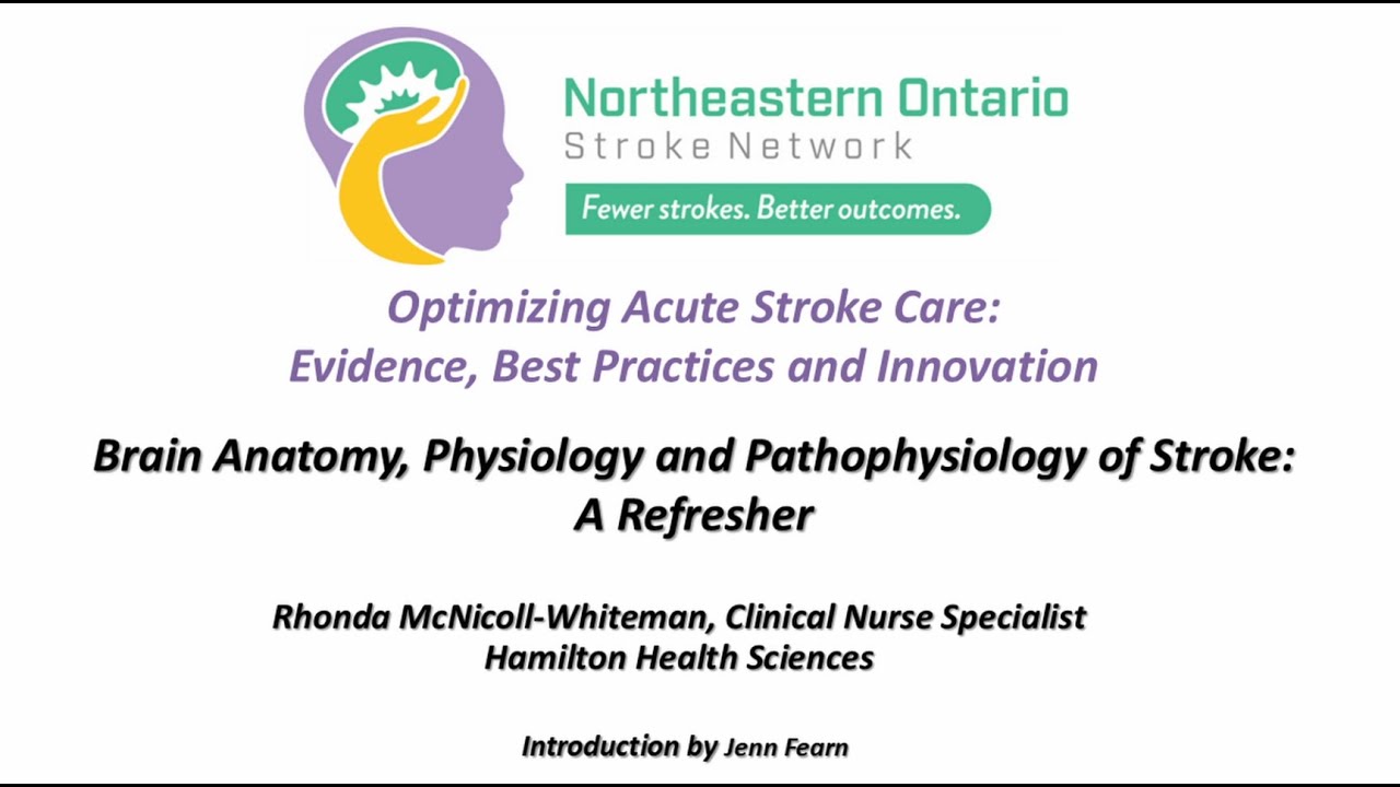 Brain Anatomy, Physiology and Pathophysiology of Stroke