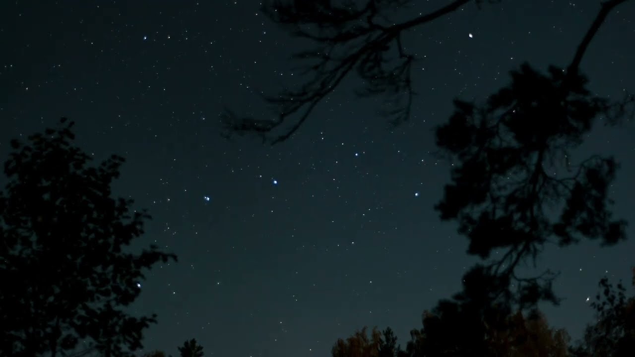 Cozy Starry Night Sky In the Woods - 10 Hours