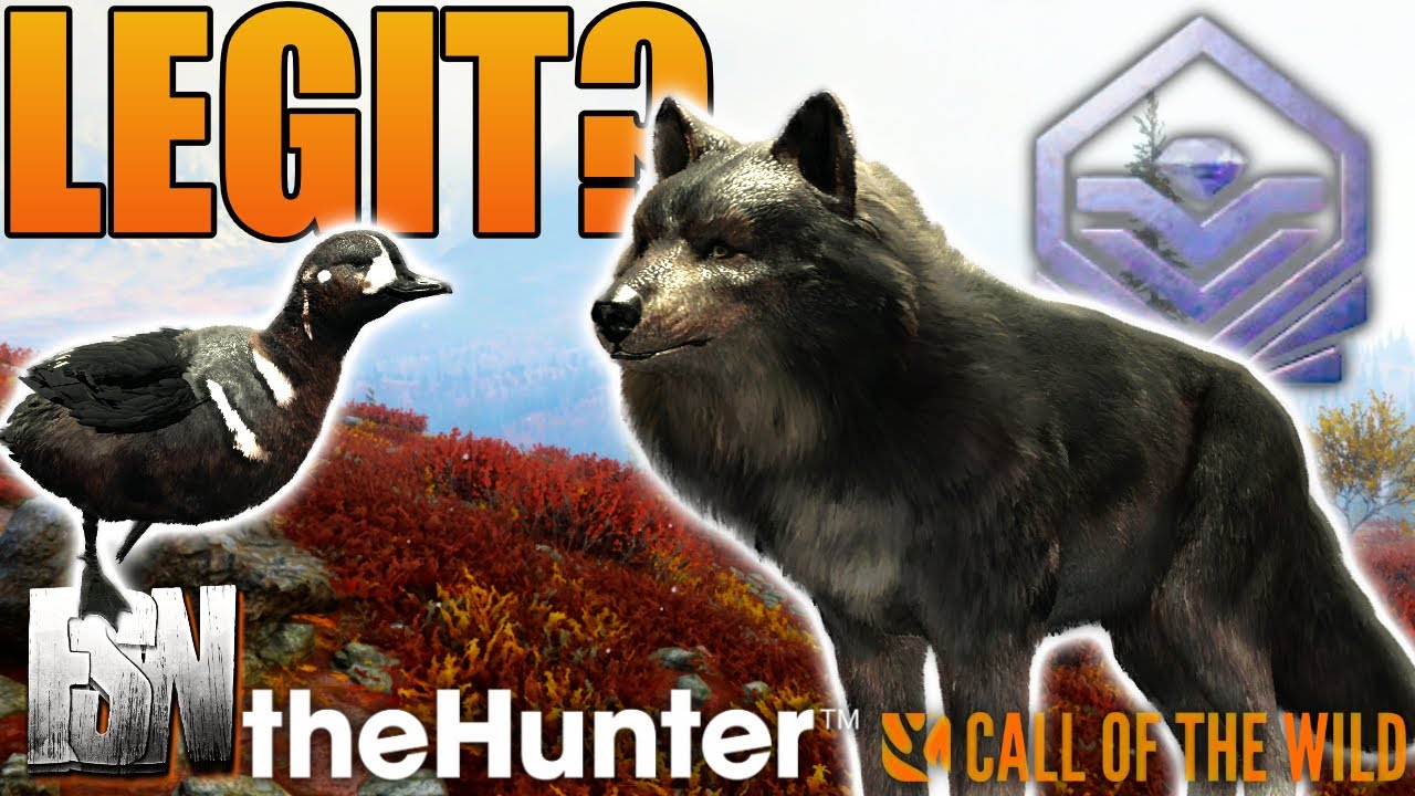 Gold Rush Challenge Leads to Controversy! Call of the Wild