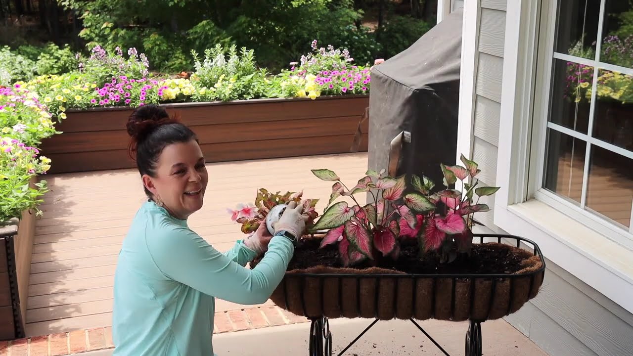 Best Annuals for Shady Gardens | Proven Winners Shade Plant Guide