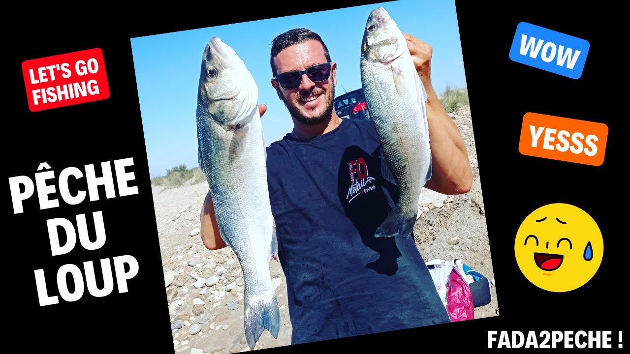 PÊCHE ÉNORME LOUP/BAR AU LEURRE !!!