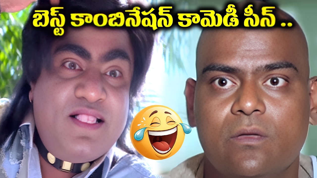 Kota Srinivasa Rao & Babu Mohan Back To Back Comedy Scenes | Telugu Movie Comedy Scenes |