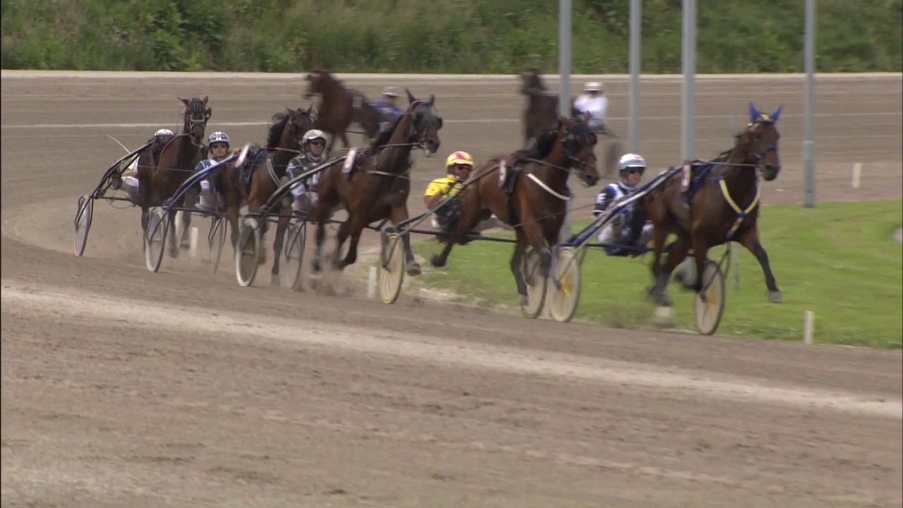 Victoria Park Wolvega 02-06-2017 KOERS 8e VITRUVIO - ALESSANDRO GOCCIADORO