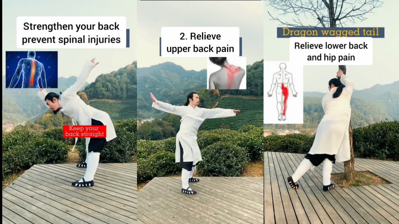 Most Important Tai chi workout | Wudang Zidong | Qi Gong exercise