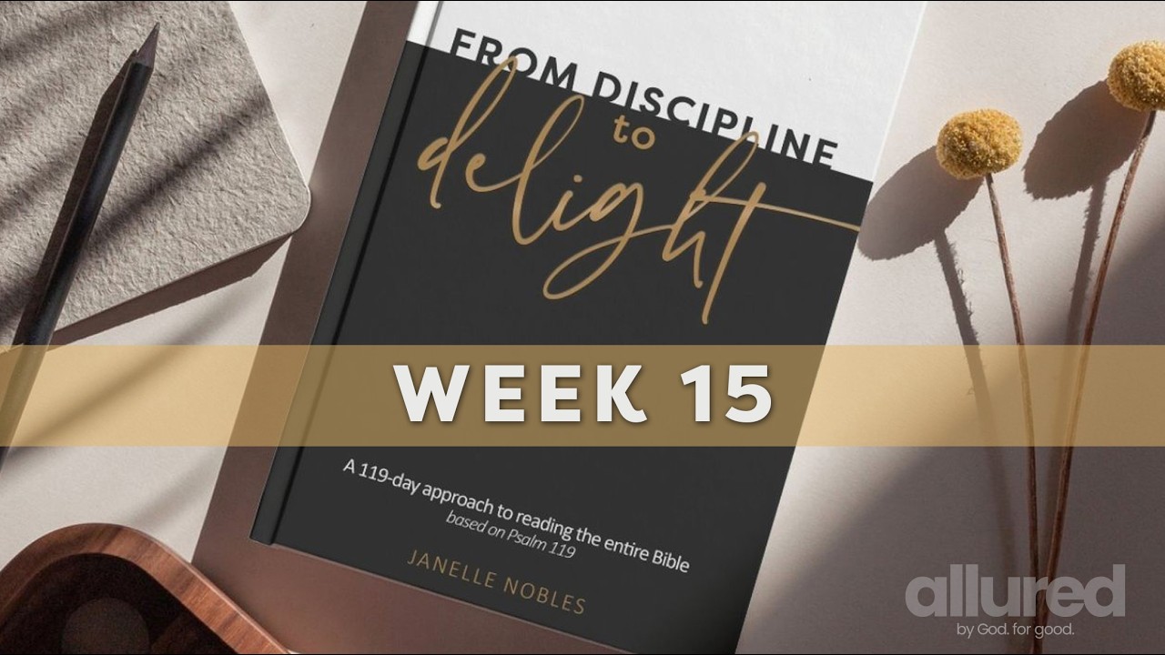Week 15 / From Discipline to Delight