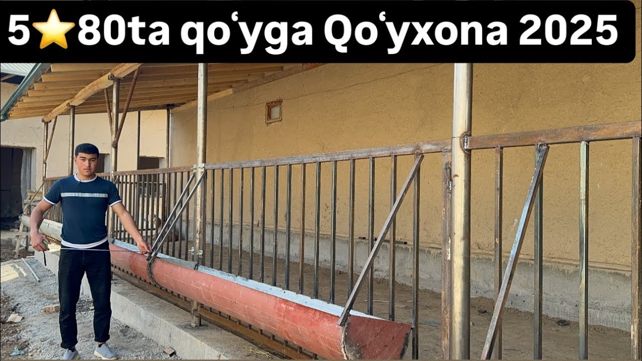 80ta Qoʻyga Qoʻyxona qurish qanchaga tushadi?Nimadan qilgan maqul?