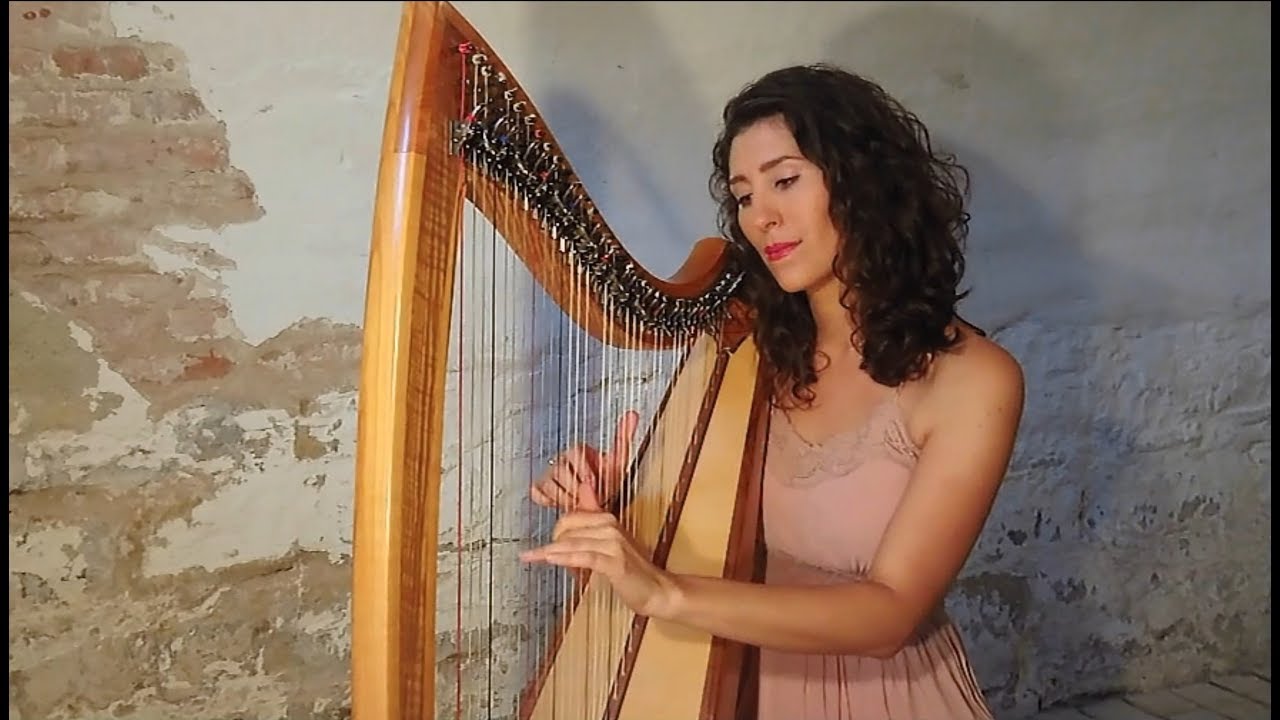 Something just like this - the Chainsmokers & Coldplay - Gesang & Harfe - Corinna Schmidt